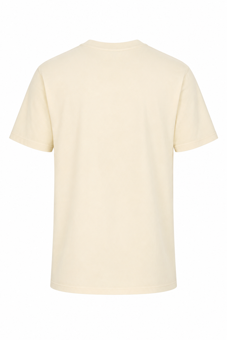 ASPIRE MENS TEES - APRICOT