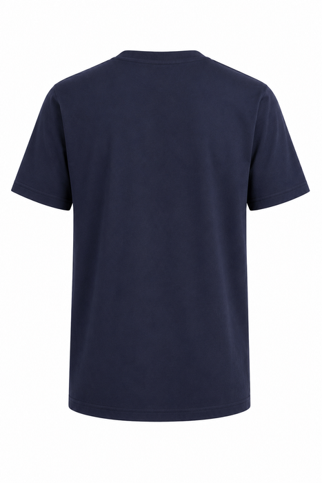 ASPIRE MENS TEES - DARK GRAY